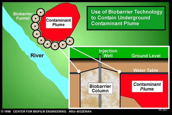 Biobarrier